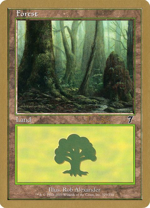 jt329-forest.jpg