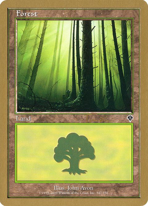 jt347-forest.jpg