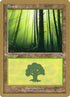 jt347-forest.jpg