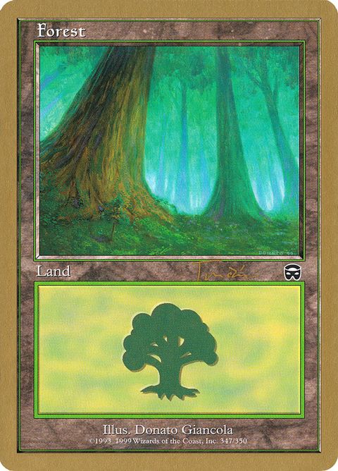 jt347a-forest.jpg