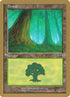 jt347a-forest.jpg