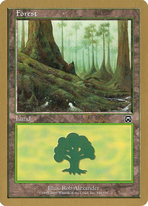 jt348-forest.jpg