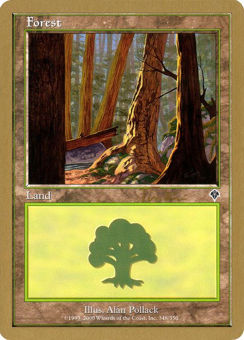 jt348a-forest.jpg