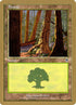 jt348a-forest.jpg