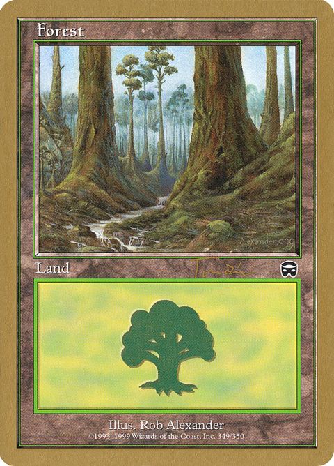 jt349-forest.jpg