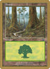 jt349-forest.jpg