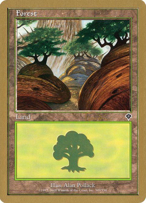 jt349a-forest.jpg