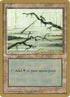ll371-swamp.jpg