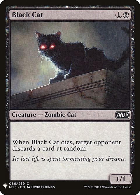 m15-86-blackcat.jpg