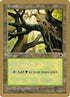 ml347a-forest.jpg