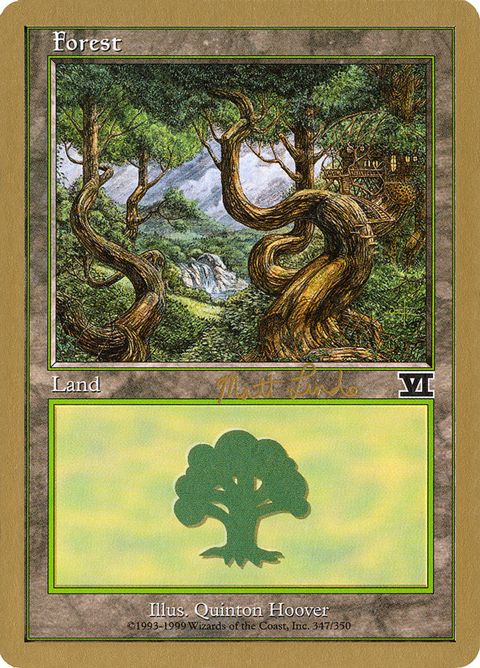 ml347b-forest.jpg