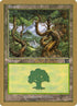 ml347b-forest.jpg