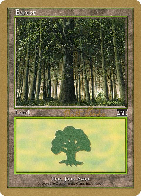 ml349-forest.jpg