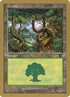 nl347-forest.jpg