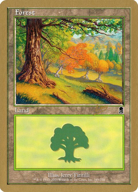 rl349-forest.jpg