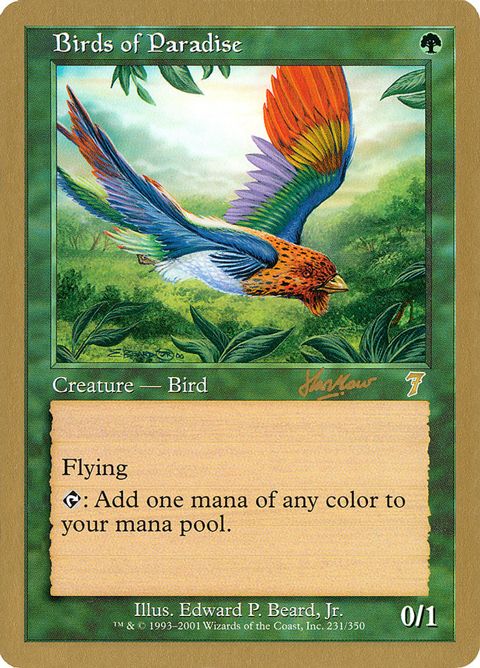 shh231-birdsofparadise.jpg