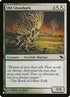 shm-232-oldghastbark.jpg