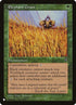 vis-104-elephantgrass.jpg