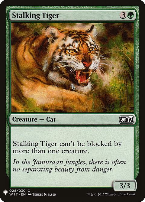 w17-28-stalkingtiger.jpg