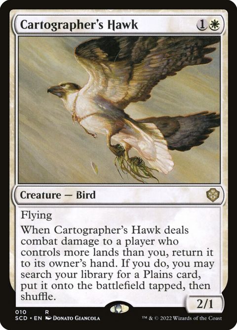 10-cartographershawk.jpg