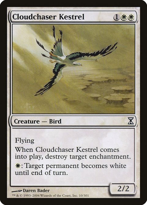 10-cloudchaserkestrel.jpg
