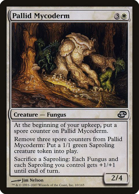 10-pallidmycoderm.jpg
