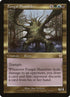 100-fungalshambler.jpg