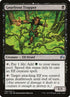 100-gnarlroottrapper.jpg