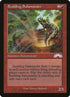 100-scaldingsalamander.jpg