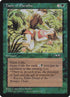 100b-tasteofparadise.jpg