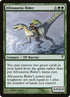 101-allosaurusrider.jpg