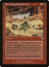 102-swirlingsandstorm.jpg