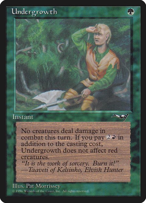 102a-undergrowth.jpg