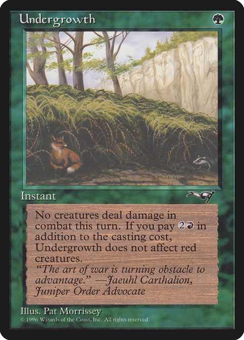 102b-undergrowth.jpg