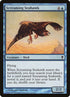 105-screamingseahawk.jpg