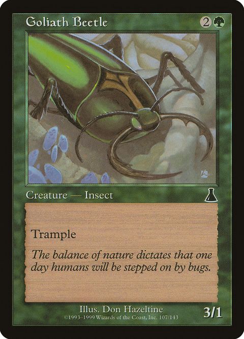 107-goliathbeetle.jpg