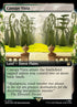 1072-canopyvista.jpg