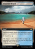 1079-desertedbeach.jpg