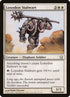 11-loxodonstalwart.jpg