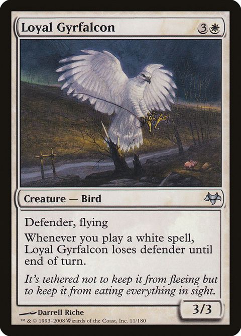 11-loyalgyrfalcon.jpg