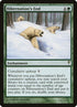 110-hibernationsend.jpg