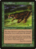110-kingcheetah.jpg