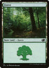 111-forest.jpg