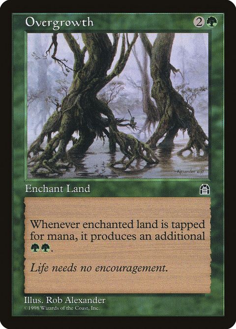 111-overgrowth.jpg