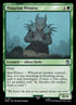 111-thijarianwitness.jpg