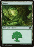 112-forest.jpg
