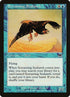 112-screamingseahawk.jpg