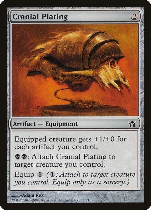 113-cranialplating.jpg