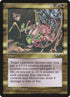 113-misfortune.jpg