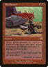 114-skullscorch.jpg